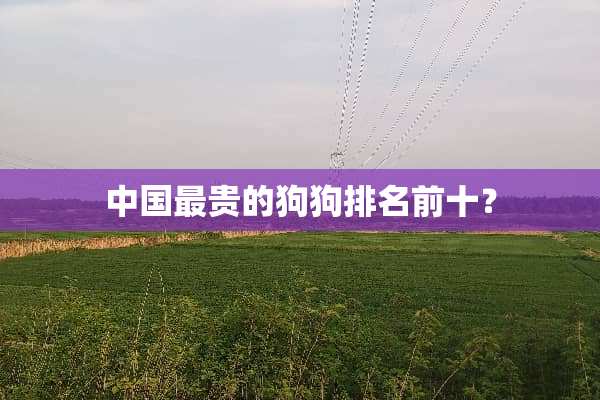 中国最贵的狗狗排名前十？