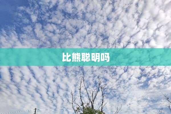 比熊聪明吗