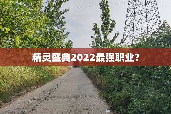 精灵盛典2022最强职业？