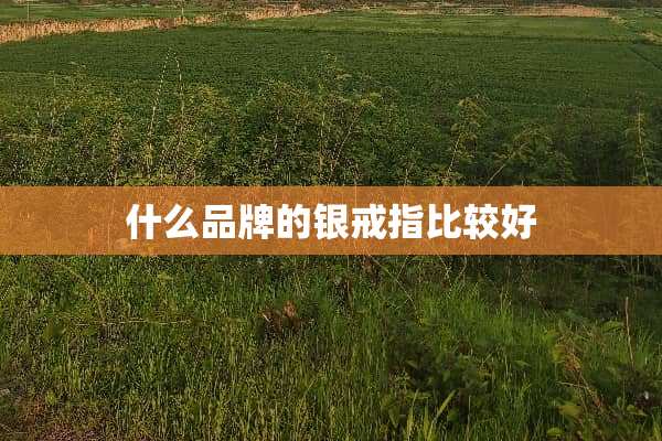 什么品牌的银戒指比较好