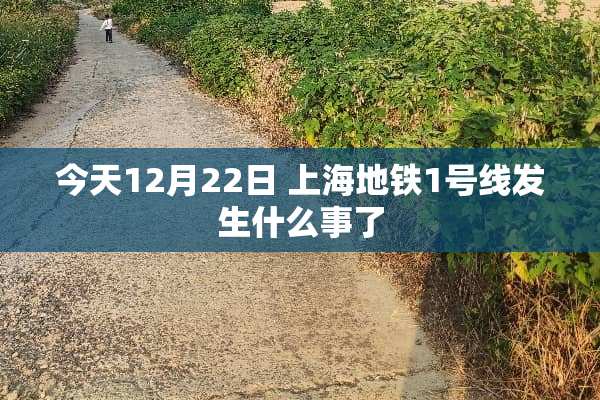 今天12月22日 上海地铁1号线发生什么事了