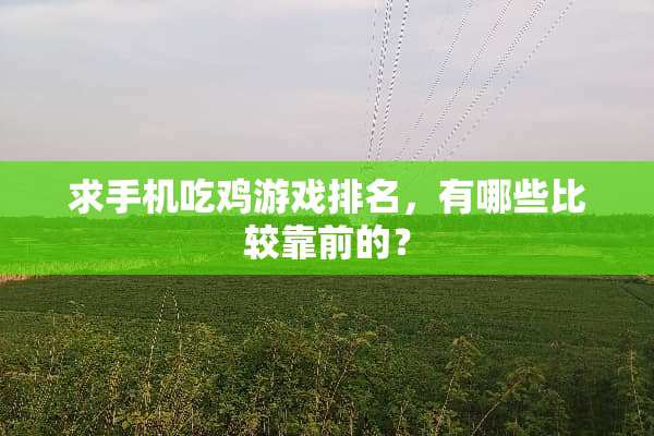 求手机吃鸡游戏排名，有哪些比较靠前的？
