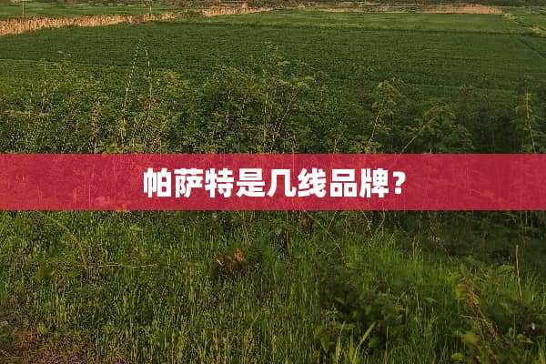 ***是几线品牌？