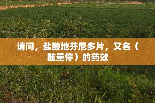 请问，**地芬尼多片，又名（眩晕停）的药效