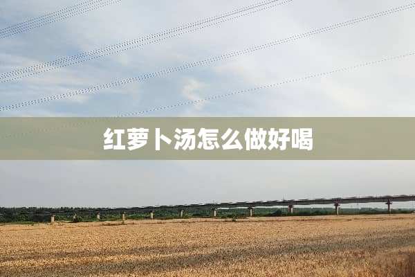 红萝卜汤怎么做好喝