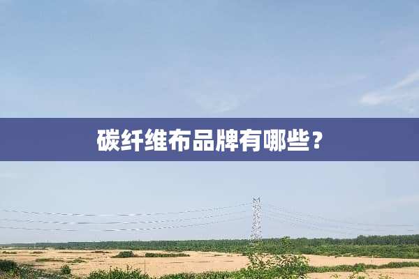 碳纤维布品牌有哪些？