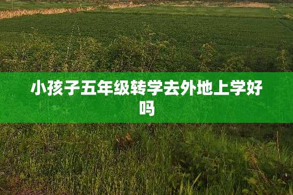 小孩子五年级转学去外地上学好吗