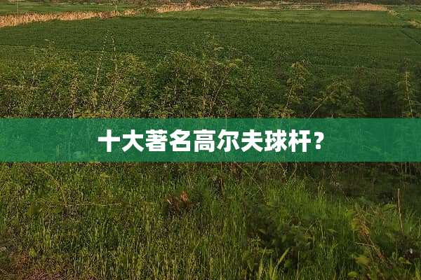 十大著名高尔夫球杆？