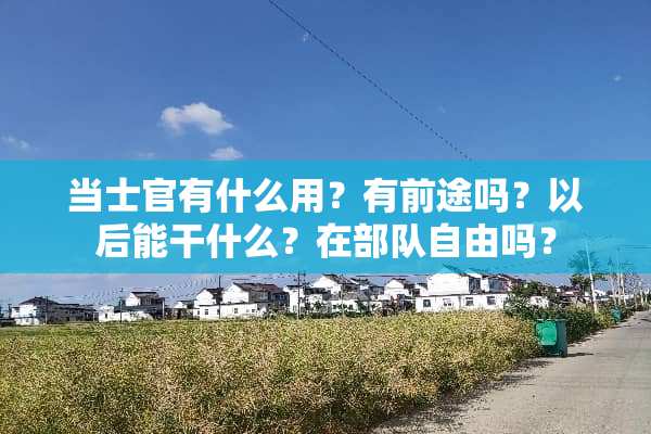 当士官有什么用？有前途吗？以后能干什么？在**自由吗？
