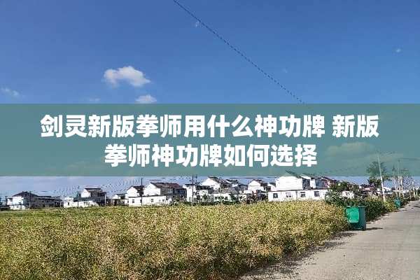 剑灵新版拳师用什么神功牌 新版拳师神功牌如何选择