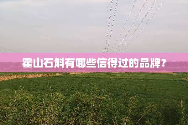 霍山石斛有哪些信得过的品牌？