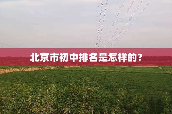 北京市初中排名是怎样的？