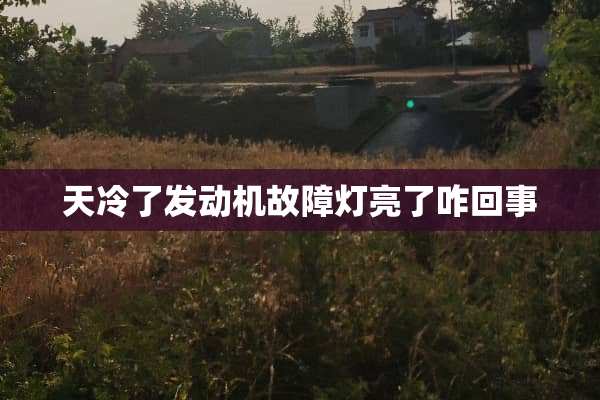 天冷了发动机故障灯亮了咋回事
