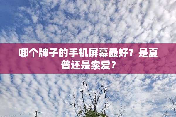 哪个牌子的手机屏幕最好？是夏普还是索爱？