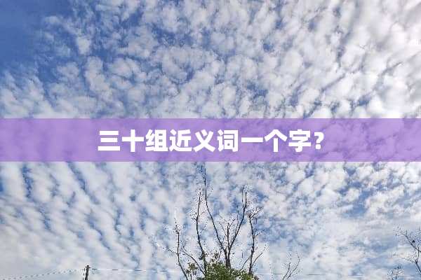 三十组近义词一个字？