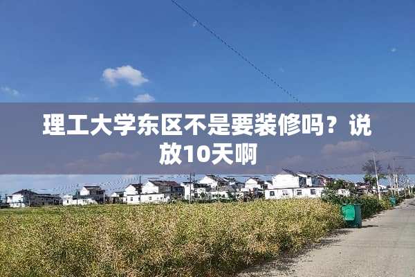 理工大学东区不是要装修吗？说放10天啊