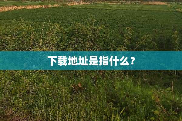 下载地址是指什么？