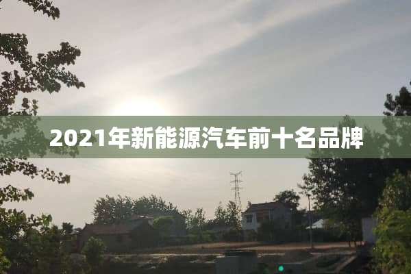 2021年新能源汽车前十名品牌
