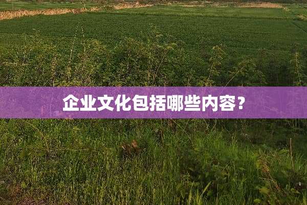 企业文化包括哪些内容？