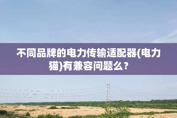 不同品牌的电力传输适配器(电力猫)有兼容问题么？