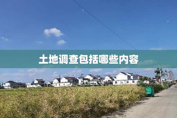 土地调查包括哪些内容