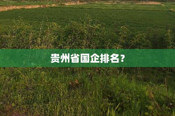 贵州省国企排名？