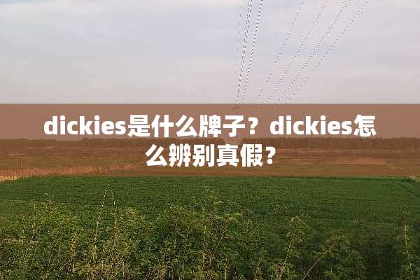 dickies是什么牌子？dickies怎么辨别真假？