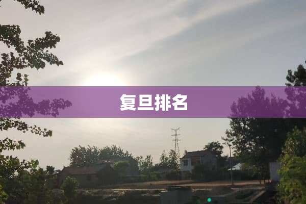 复旦排名