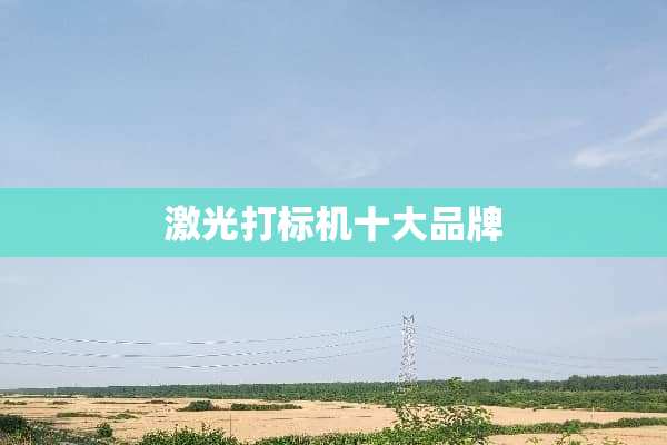 激光打标机十大品牌