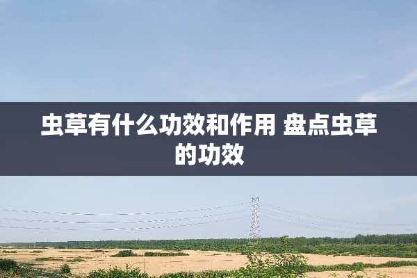 虫草有什么功效和作用 盘点虫草的功效