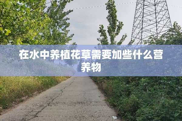 在水中养植花草需要加些什么营养物
