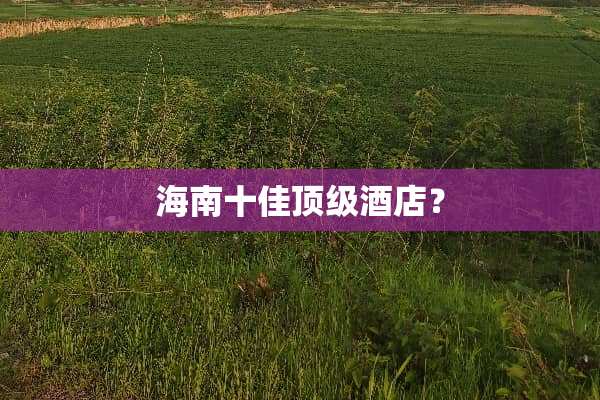 海南十佳**酒店？
