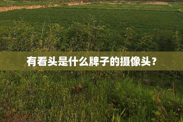 有看头是什么牌子的**头？