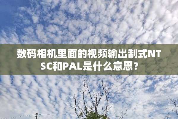 数码相机里面的视频输出制式NTSC和PAL是什么意思？