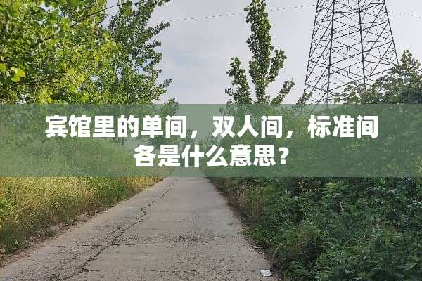 宾馆里的单间，双人间，标准间各是什么意思？
