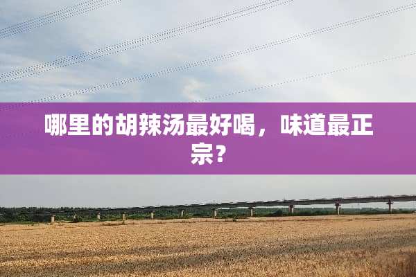 哪里的胡辣汤最好喝，味道最正宗？