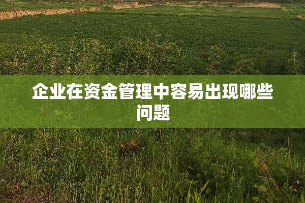 企业在资金管理中容易出现哪些问题