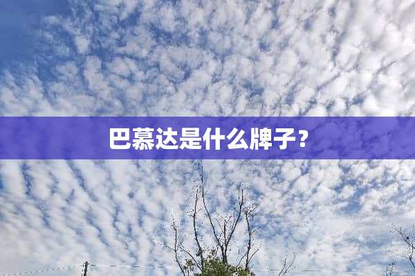 巴慕达是什么牌子？
