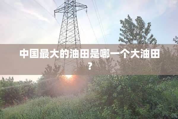 中国最大的油田是哪一个大油田？