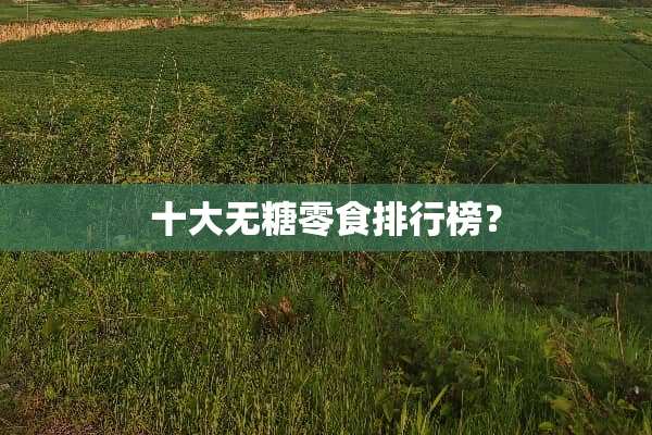 十大无糖零食排行榜？