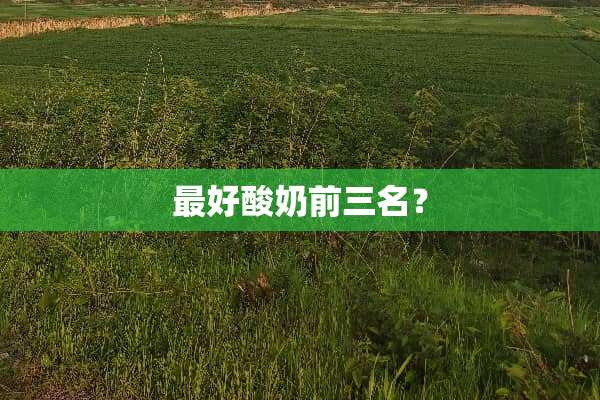 最好酸奶前三名？