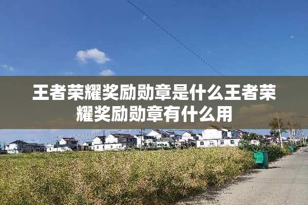 王者荣耀奖励勋章是什么王者荣耀奖励勋章有什么用