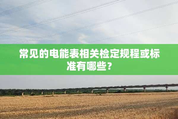 常见的电能表相关检定规程或标准有哪些？