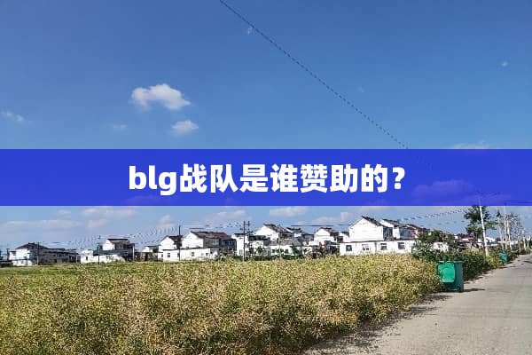 blg战队是谁赞助的？