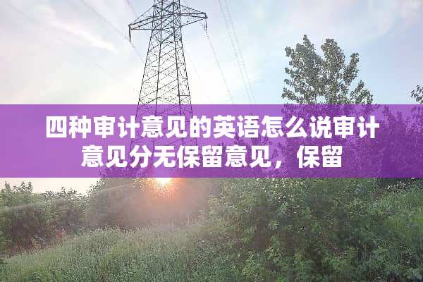 四种审计意见的英语怎么说审计意见分无保留意见，保留