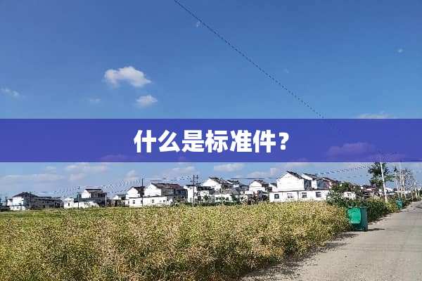 什么是标准件？