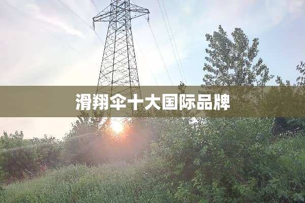 滑翔伞十大国际品牌