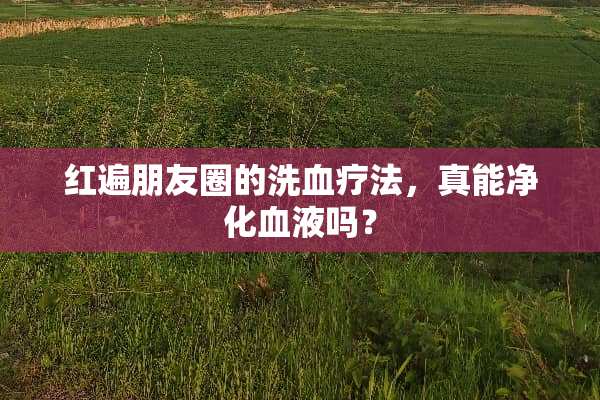 红遍朋友圈的洗血疗法，真能净化血液吗？