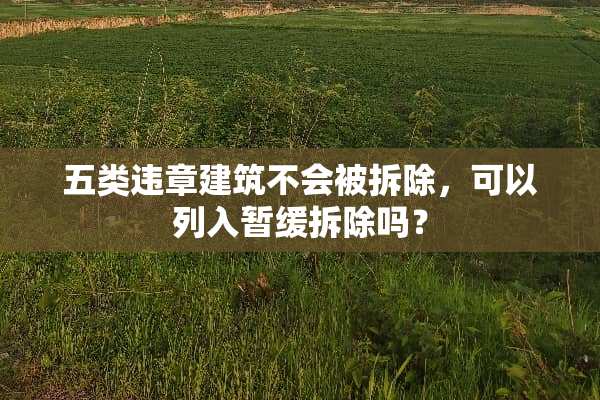 五类违章建筑不会被拆除，可以列入暂缓拆除吗？