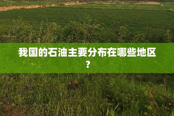 我国的石油主要分布在哪些地区？